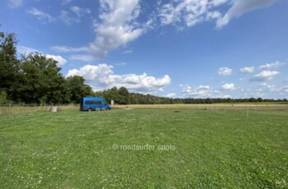 Camping Wiese am Waldrand 