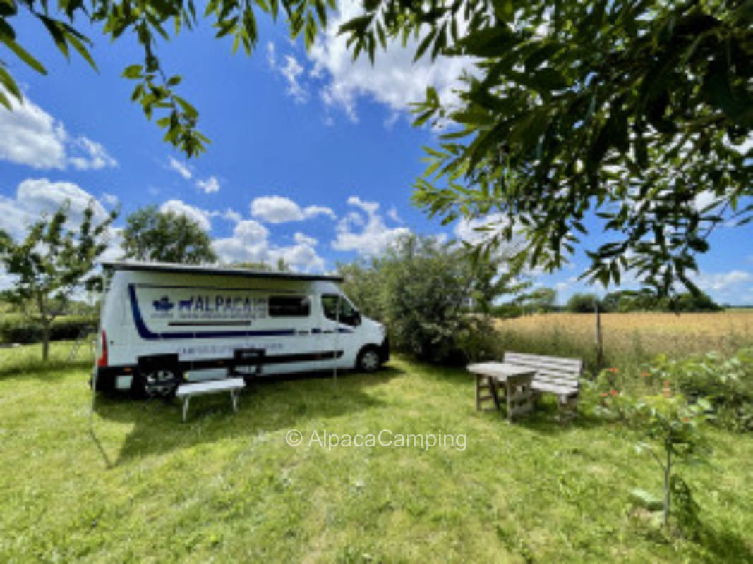 Gemütlicher Stellplatz auf einer Wiese in Wilmshagen #1