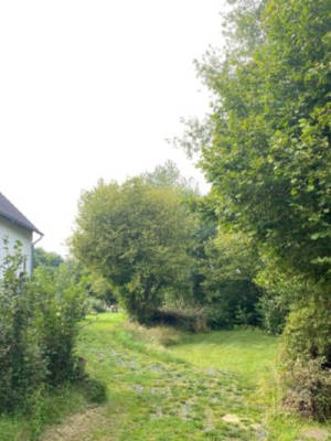Better Place im Westerwald - herrliche Ruhe