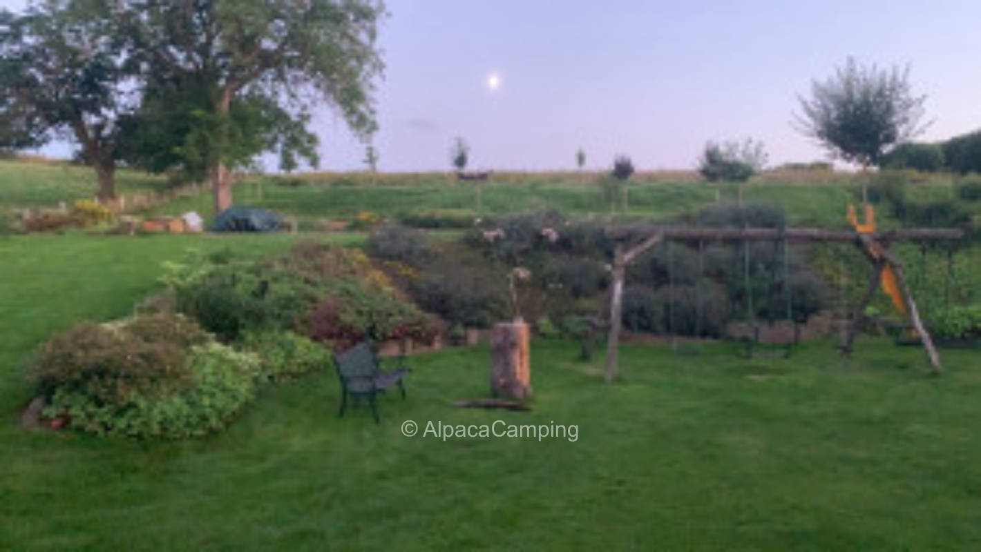 Hinter dem Hof im Garten #3