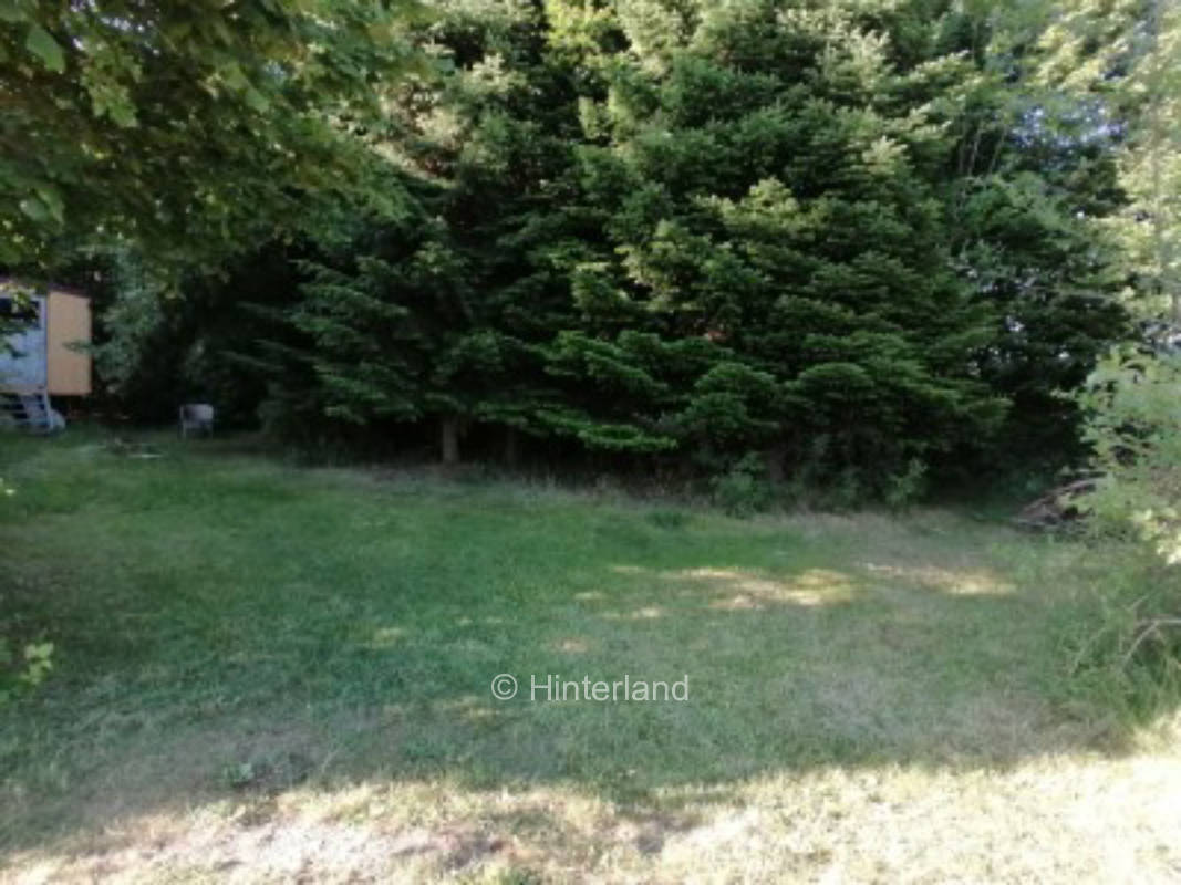 Quiet nature place in the greenery near Stralsund