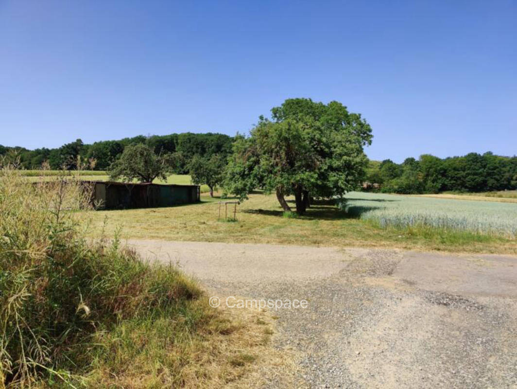 Auf der Obstbaum-Wiese inmitten von Feldern (Campspace 5480)