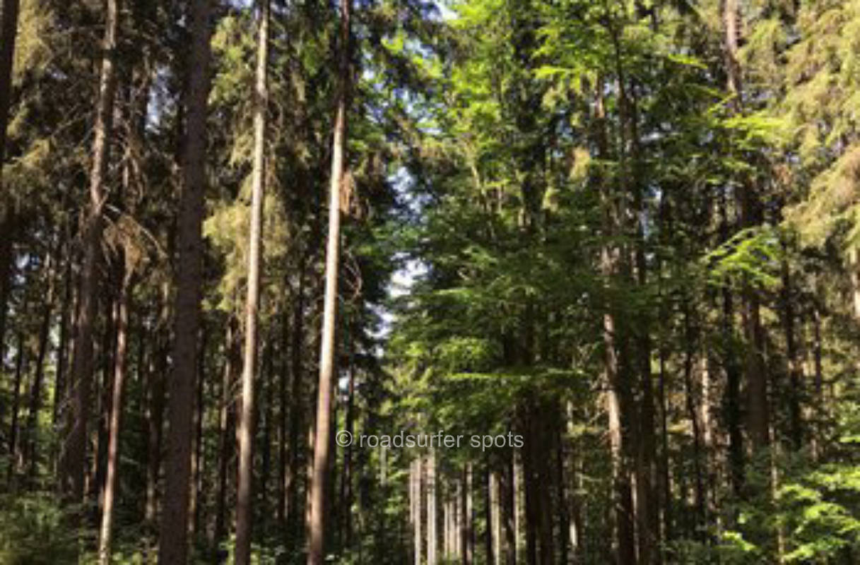 Stellplatz Waldesruhe