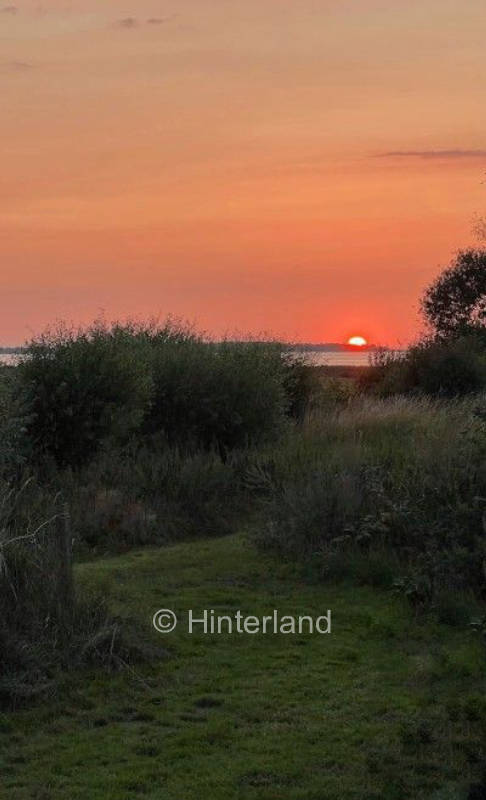 Auf der Obstwiese am Salzhaff mit Blick zur Ostsee