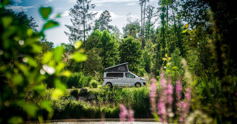 Wilde Heimat 1, Malerische Anlage inmitten der Natur!