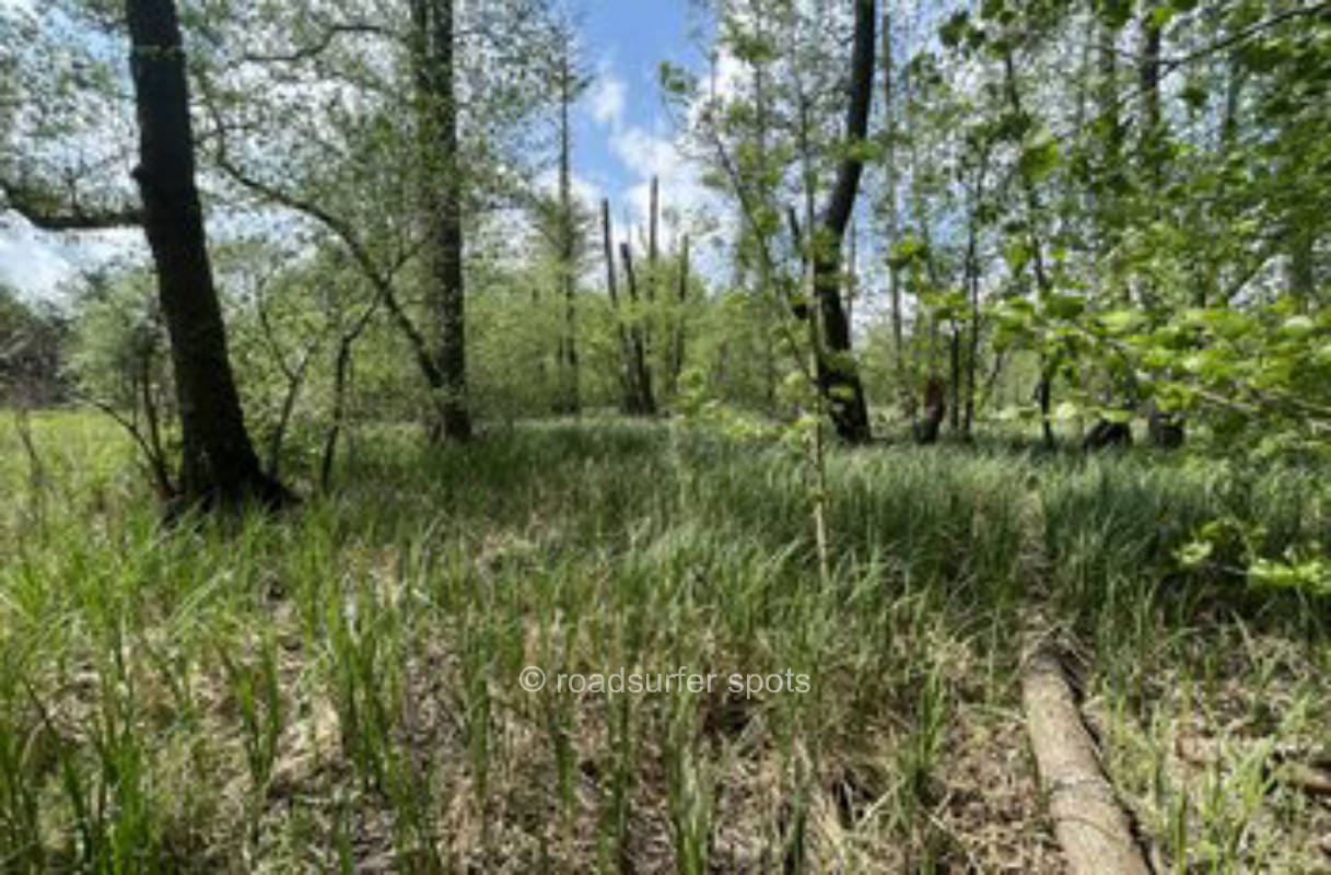 Naturnah am Jubelitzsee Potsdam