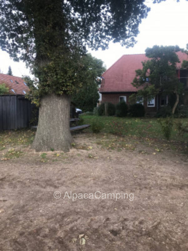 Pitch at the farm store #3