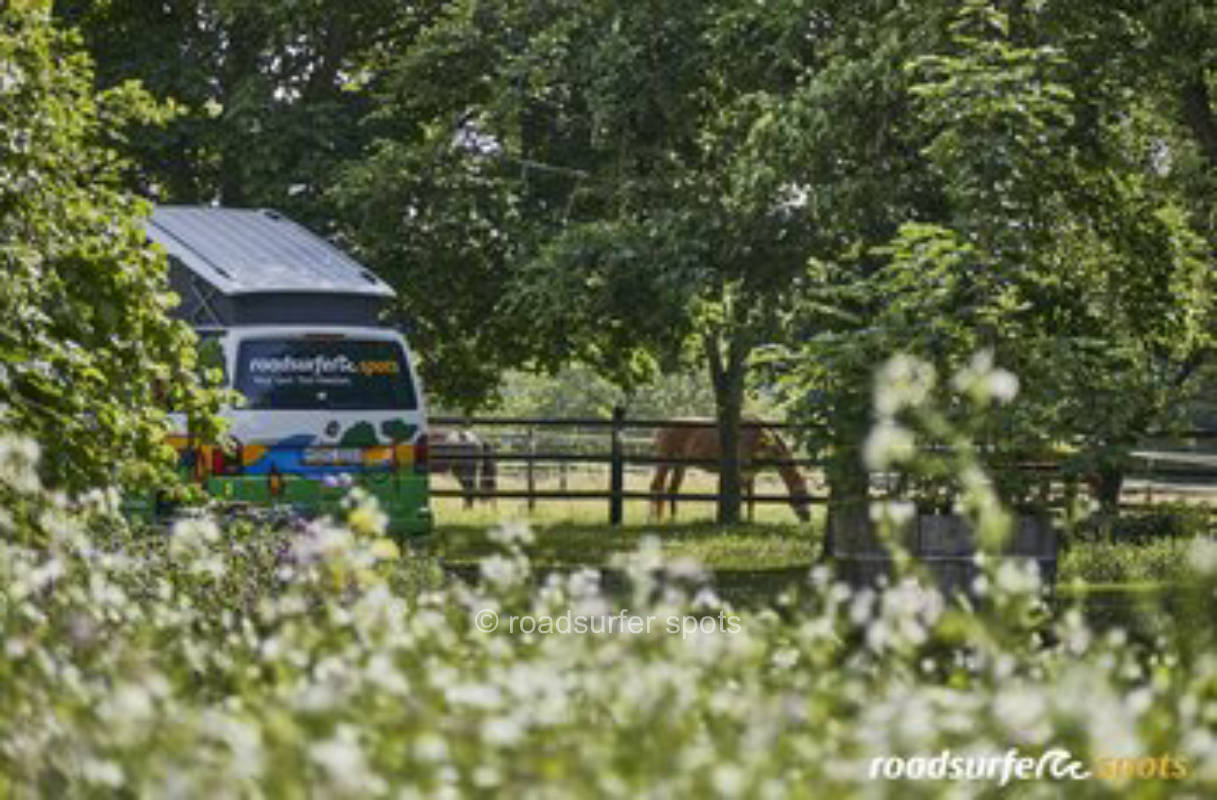 In der Natur am Rande der Baumberge