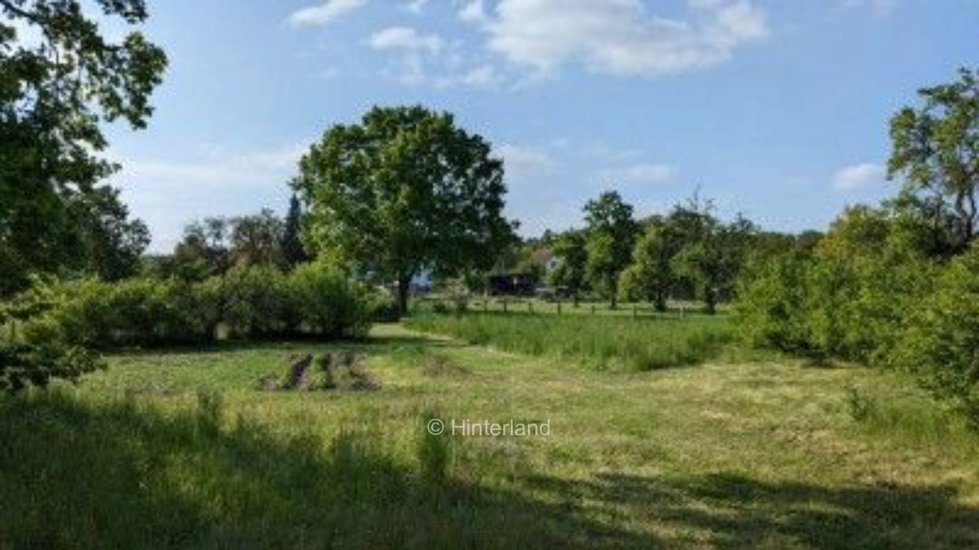 Sommerlaune - Obstwiese am Rande des Sternenparks