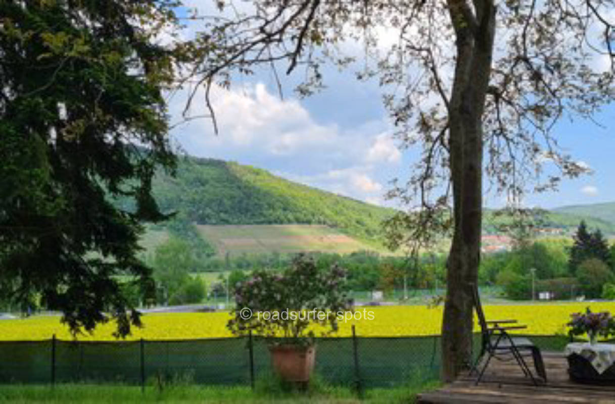 Idyllic pitch on the edge of the forest