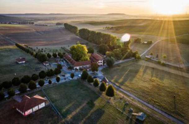 Camping at Bonnheimer Hof among the Vineyards