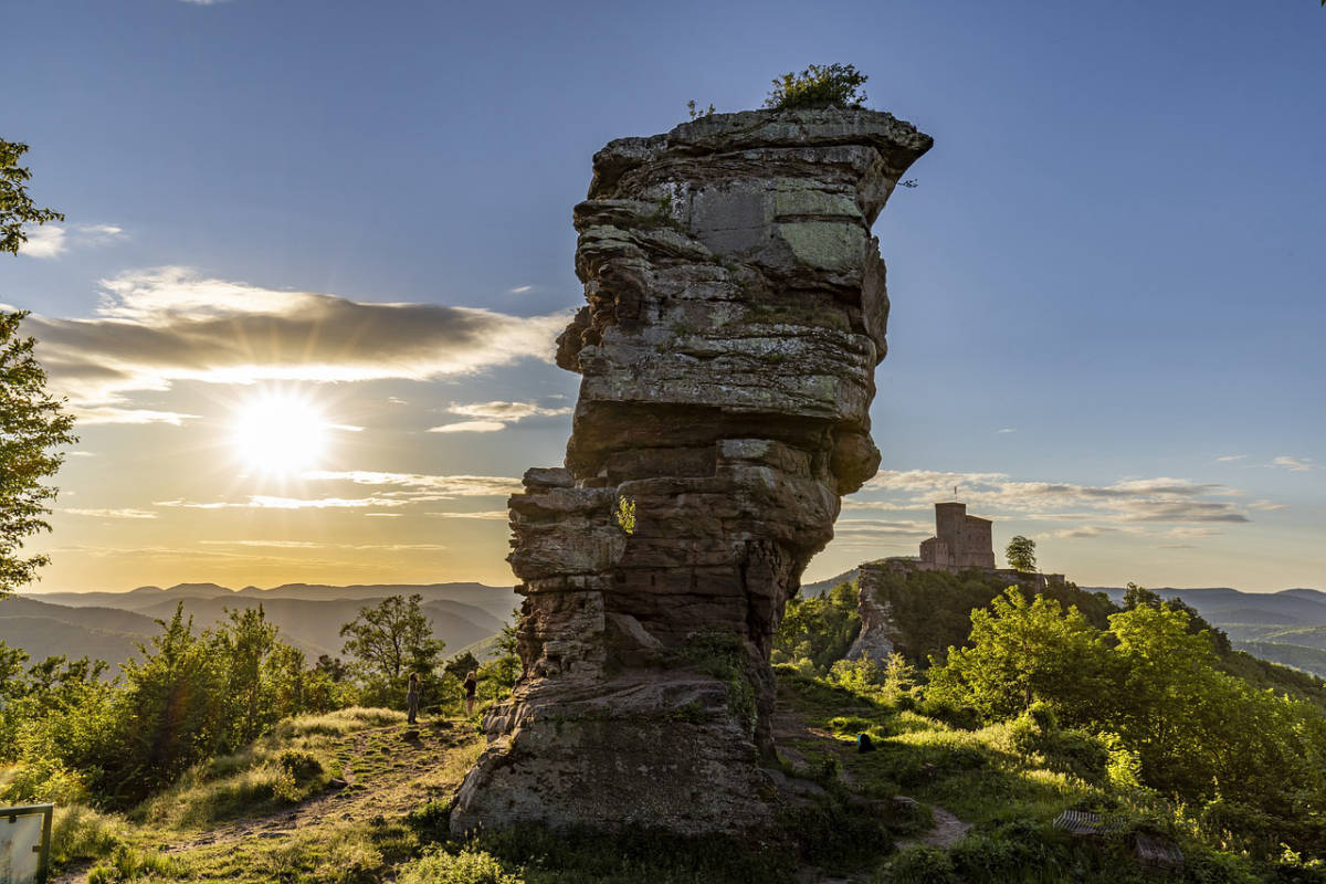 The Palatinate Forest - A possible pitch?