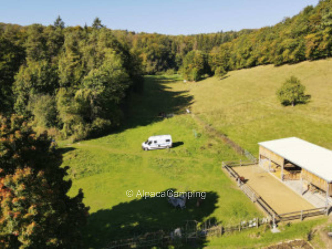 Stellplatz auf dem Naturerlebnisbauernhof