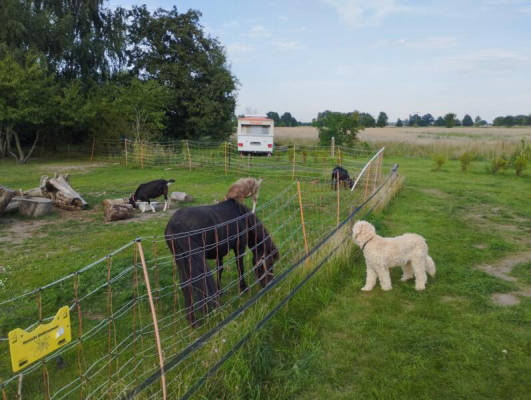 Campspace in Sandau, Sachsen-Anhalt