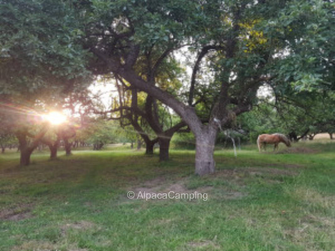 Idylle mitten in der Natur #2