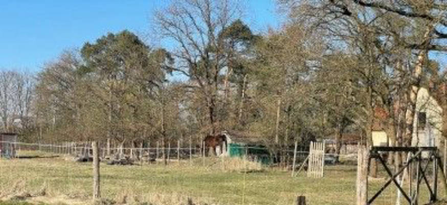 Off-grid camping in Wedemark on the horse pasture