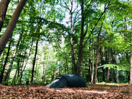 Zeltplatz auf der Wiese (Campspace 27716)