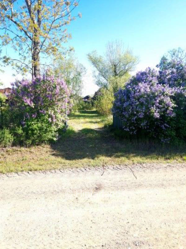 Campen nahe Spreewald – Zwischen Berlin & Dresden