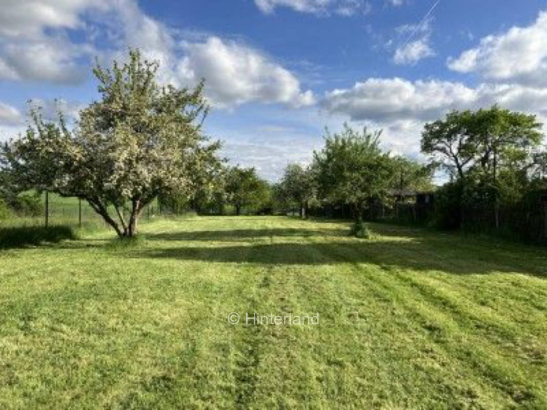 Natur mit Weitblick zwischen den Obstbäumen 
