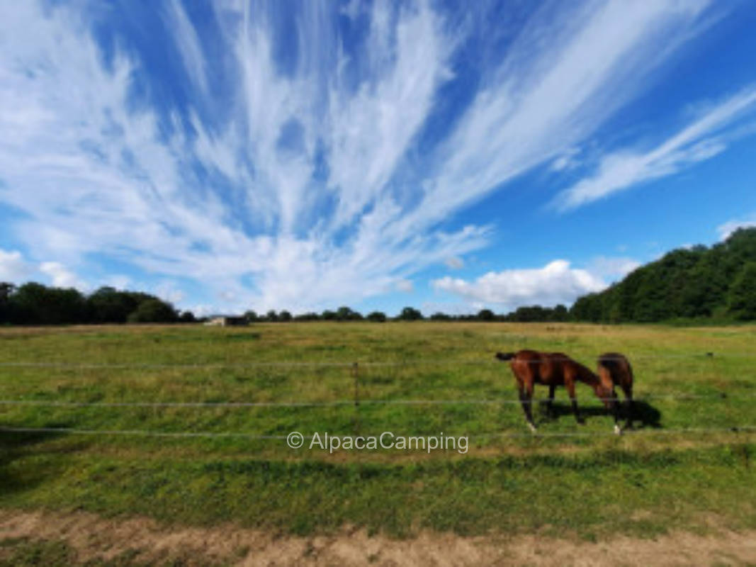 In Brittany in France #3