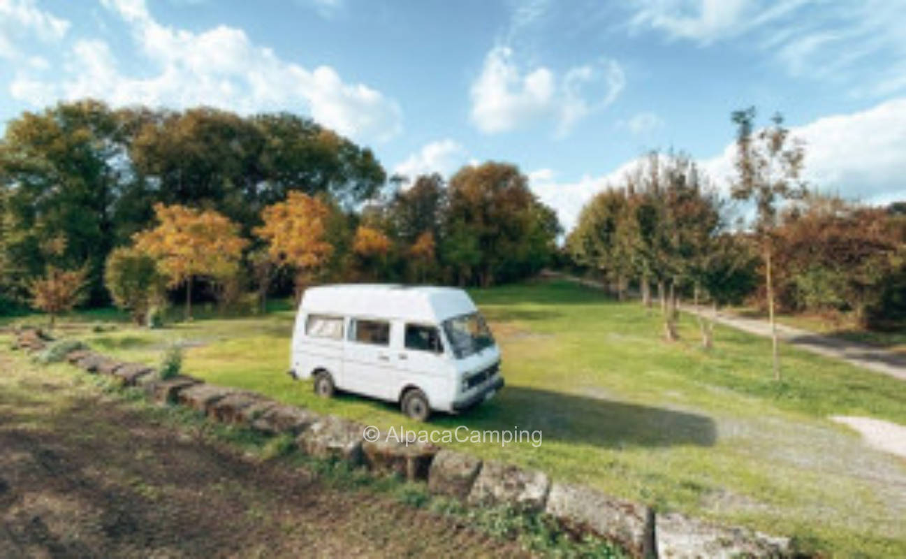 Pitch near the biotope #3