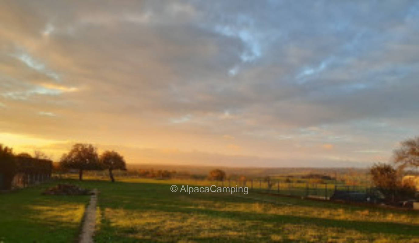 Stellplatz auf einer Schafwiese mit Weitblick
