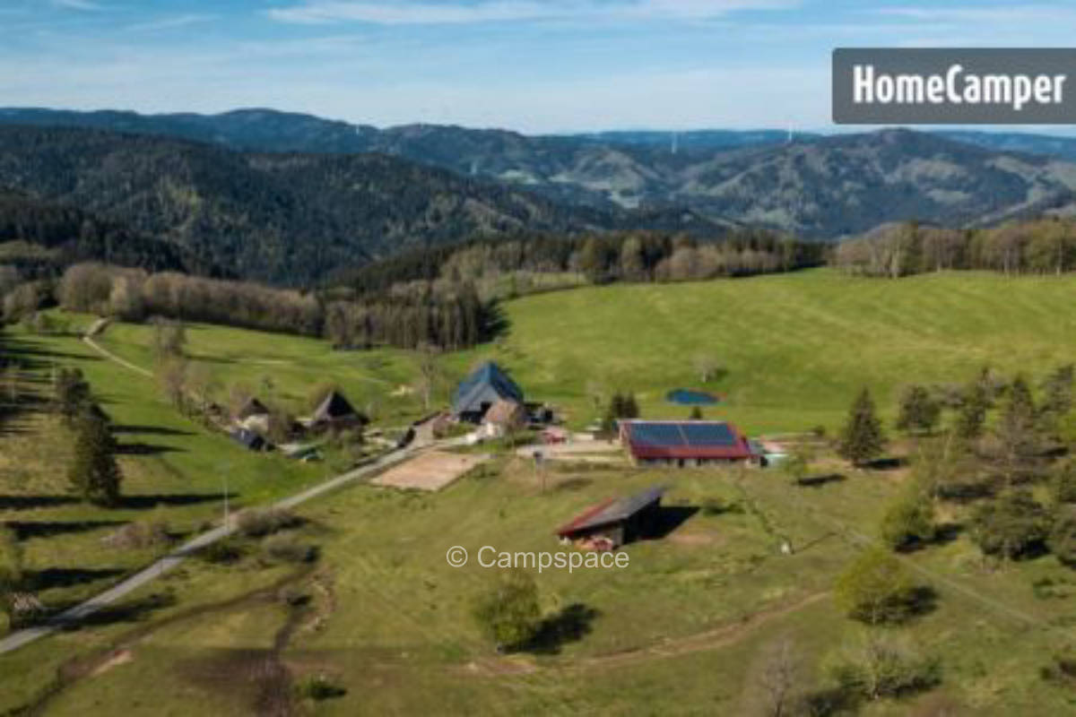 Baum der Träume, Baden-Württemberg