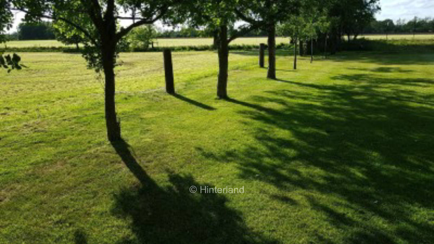 Pitch at the deer meadow