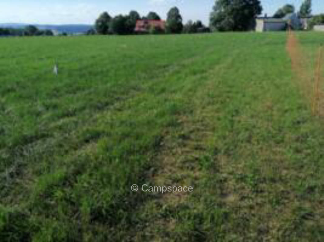 Nature camping with Fichtelgebirge panorama