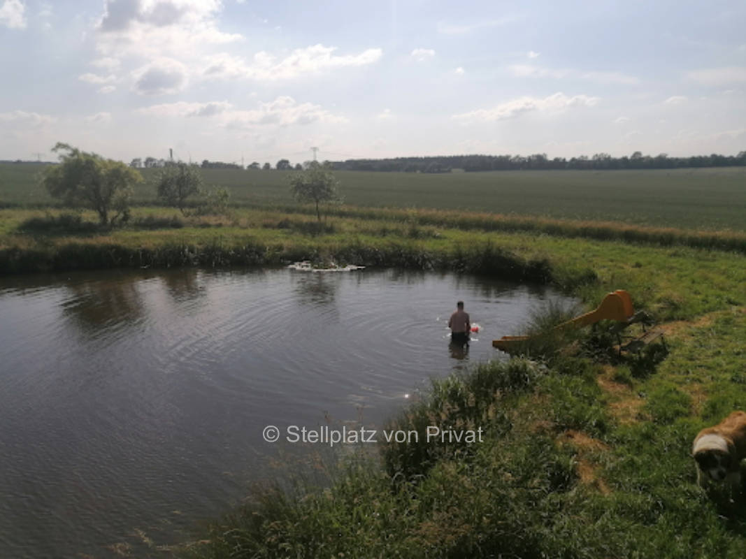 Pitch "My favorite farm