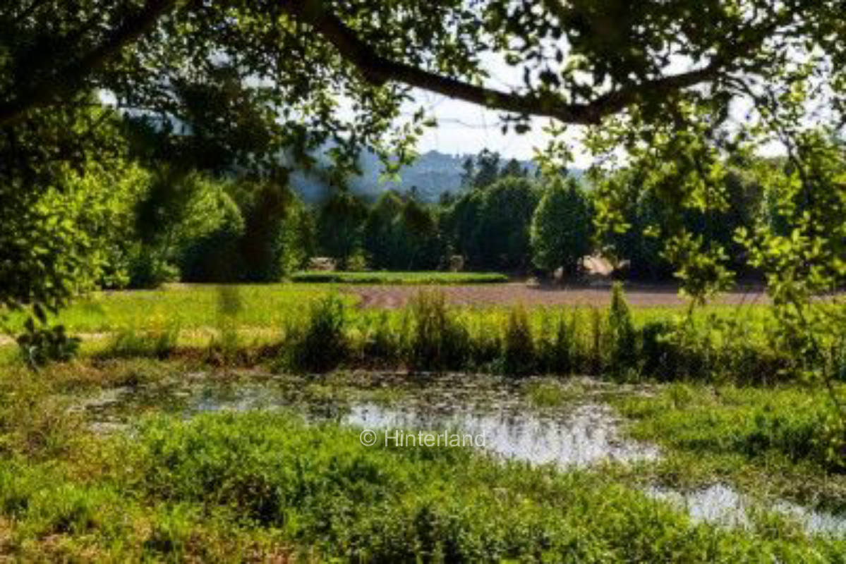 Nature Microcamping by Veade Rive- Escape Portugal