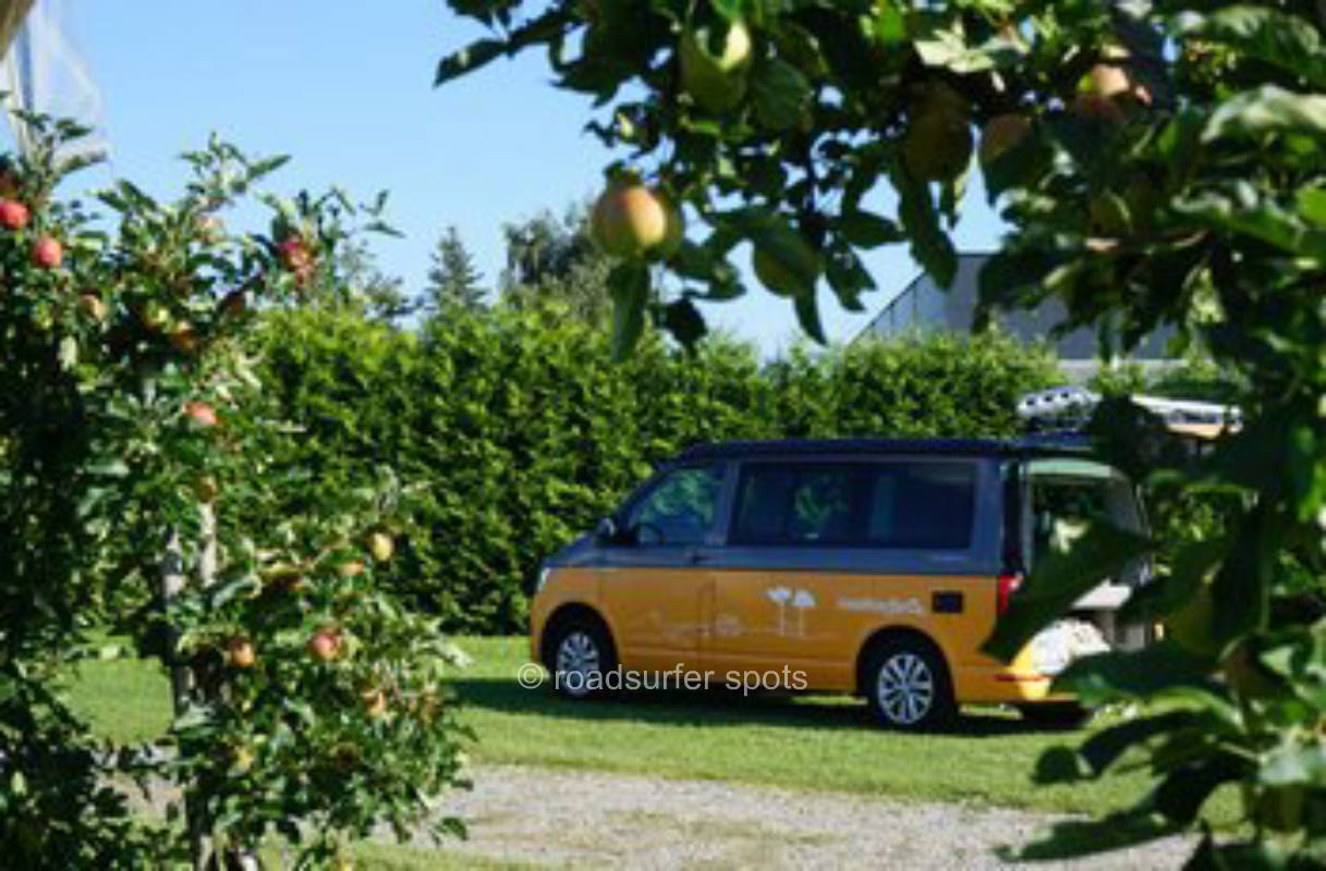 Camping mit Blick auf Bodensee-Apfelbäume, privater Stellplatz