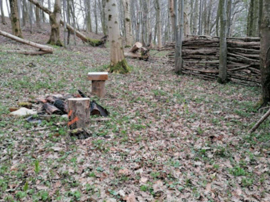 "Wildcampen" im Wald für Bushcrafter und Im-Wald-Camper ...