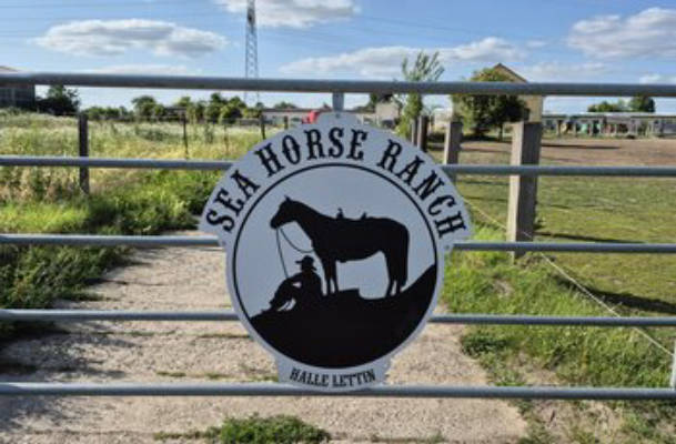 Camping Sea Horse Ranch 