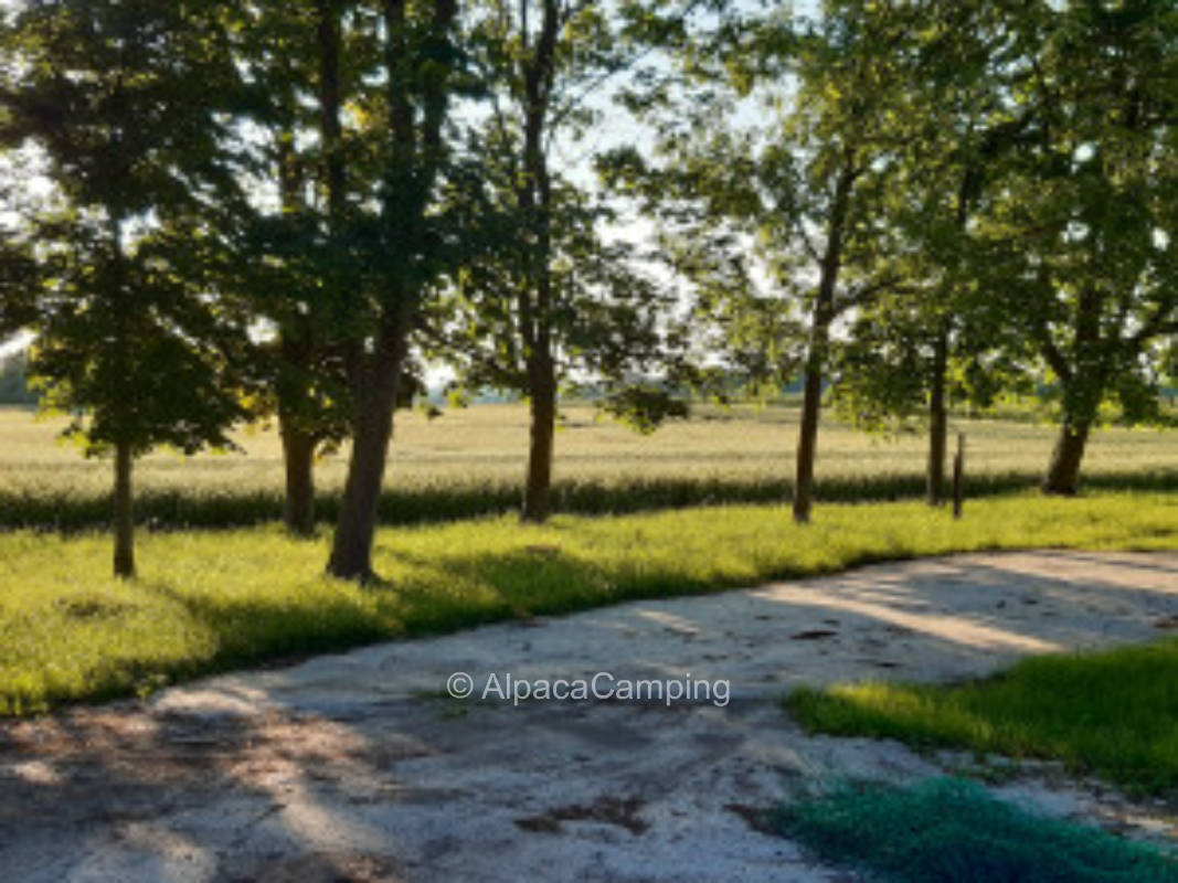 Vor den Toren Lübecks #2