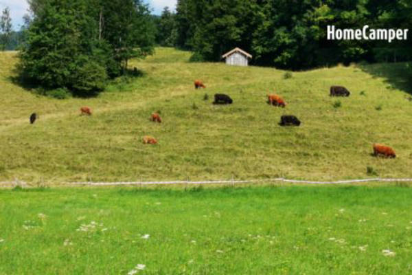 Meadow/field for tent, caravan, van, motorhome (Campspace 14446)