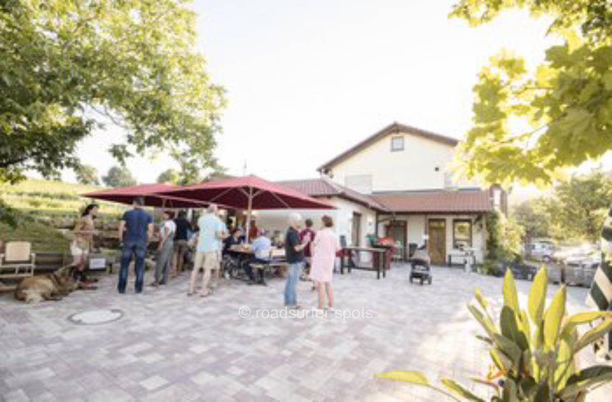 Idyllischer Platz zwischen Weinbergen und Feldern