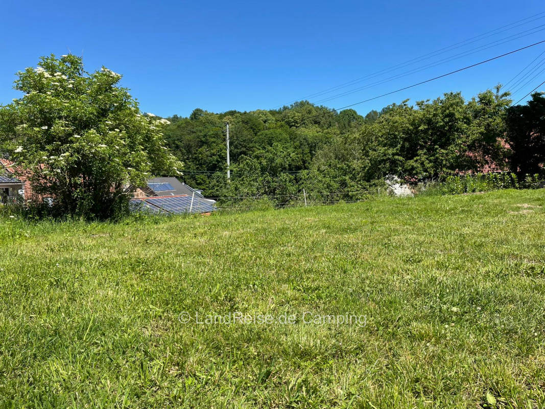 Camping and tent site in the greenery at the Ulrich distillery