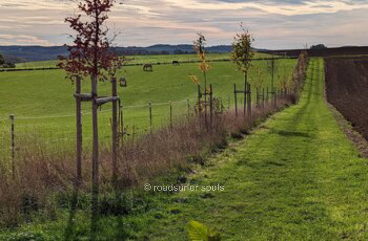 Camping auf unserem Bauernhof mit Pferden
