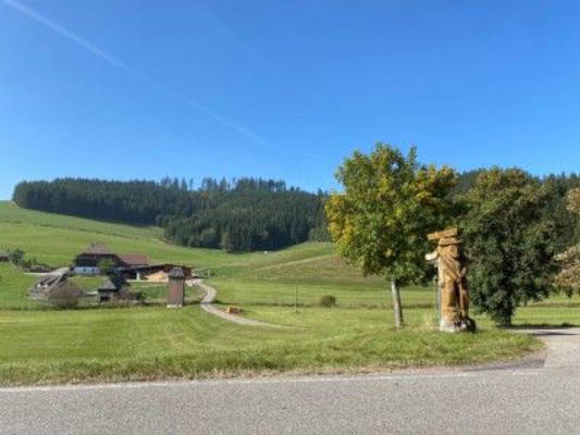 Bei der Fallerhütte im Schwarzwald mit Grillstelle