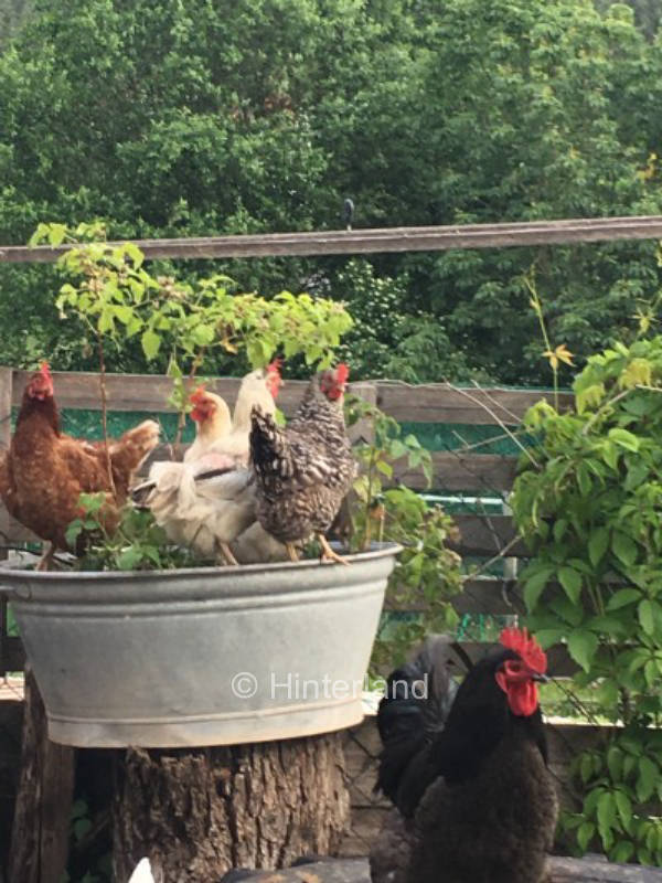 zwischen Fichtelgebirge und fränkischer Schweiz 