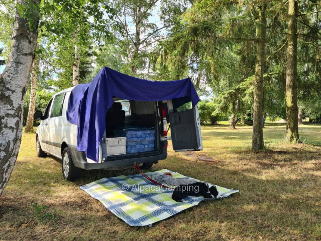 Beautiful meadow parking space in Haßloch South