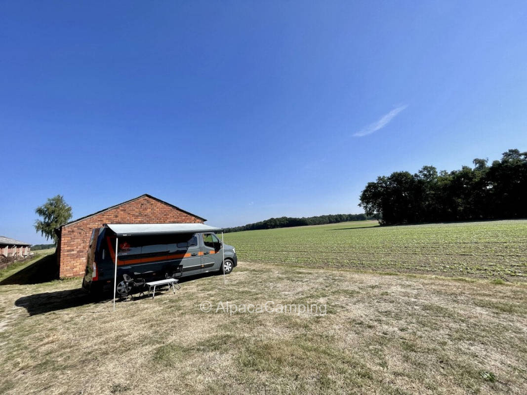 In solitary location in Steinfeld