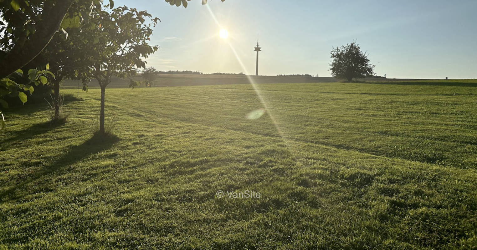 Meadow View