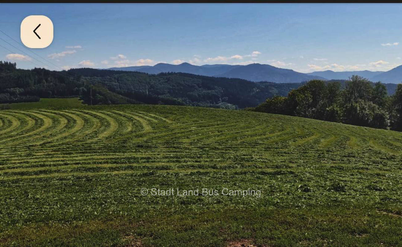 Lieblingsplatz mit Blick auf die Berge Drei