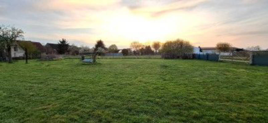 Spacious meadow at the edge of town