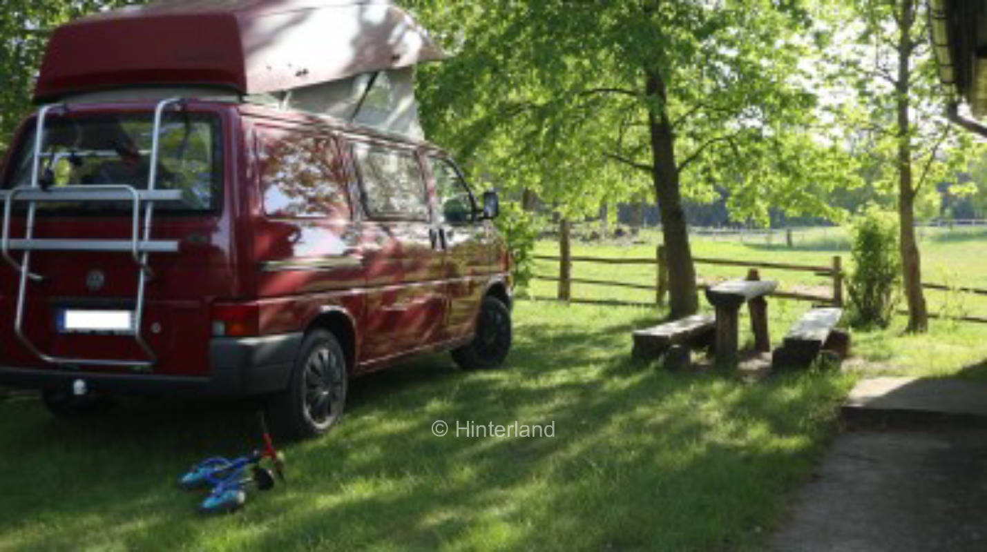 Campen zwischen Rindern, Schafen & Pferden