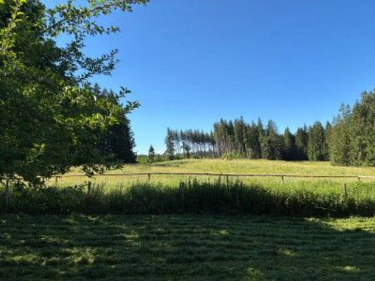 Absolute seclusion in the Allgäu
