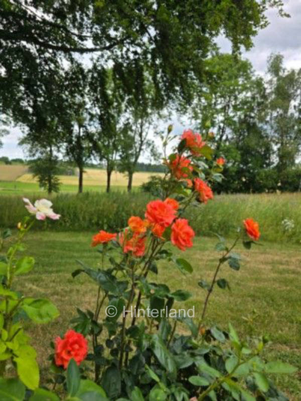 Stellplatz mit Pool & Whirlpool auf Bauernhof