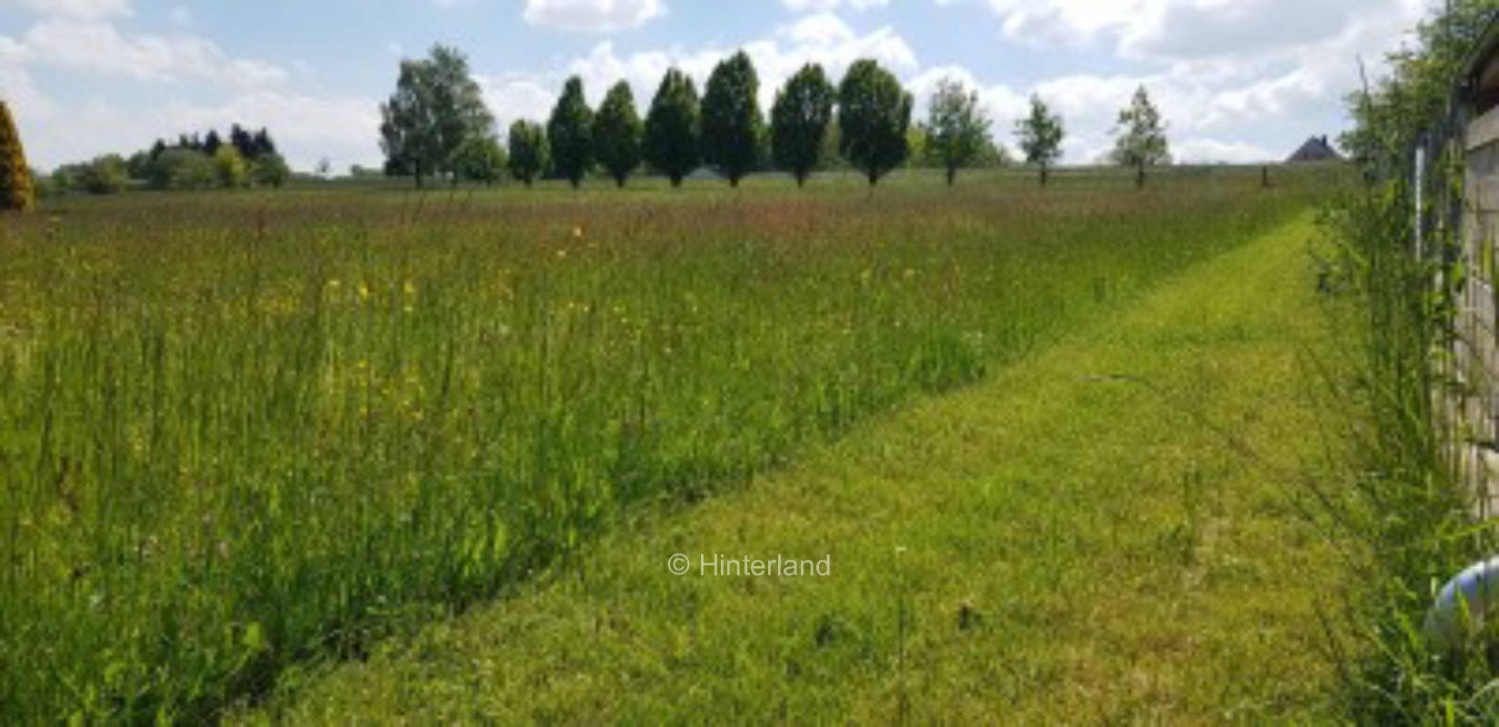Idyllic farm between the Ruhr area and Sauerland
